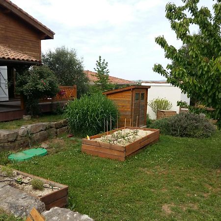 Ecolodge Bellevue Albi Bagian luar foto