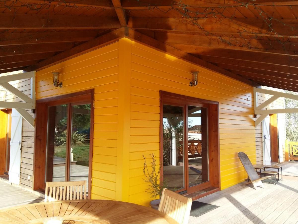 Ecolodge Bellevue Albi Bagian luar foto
