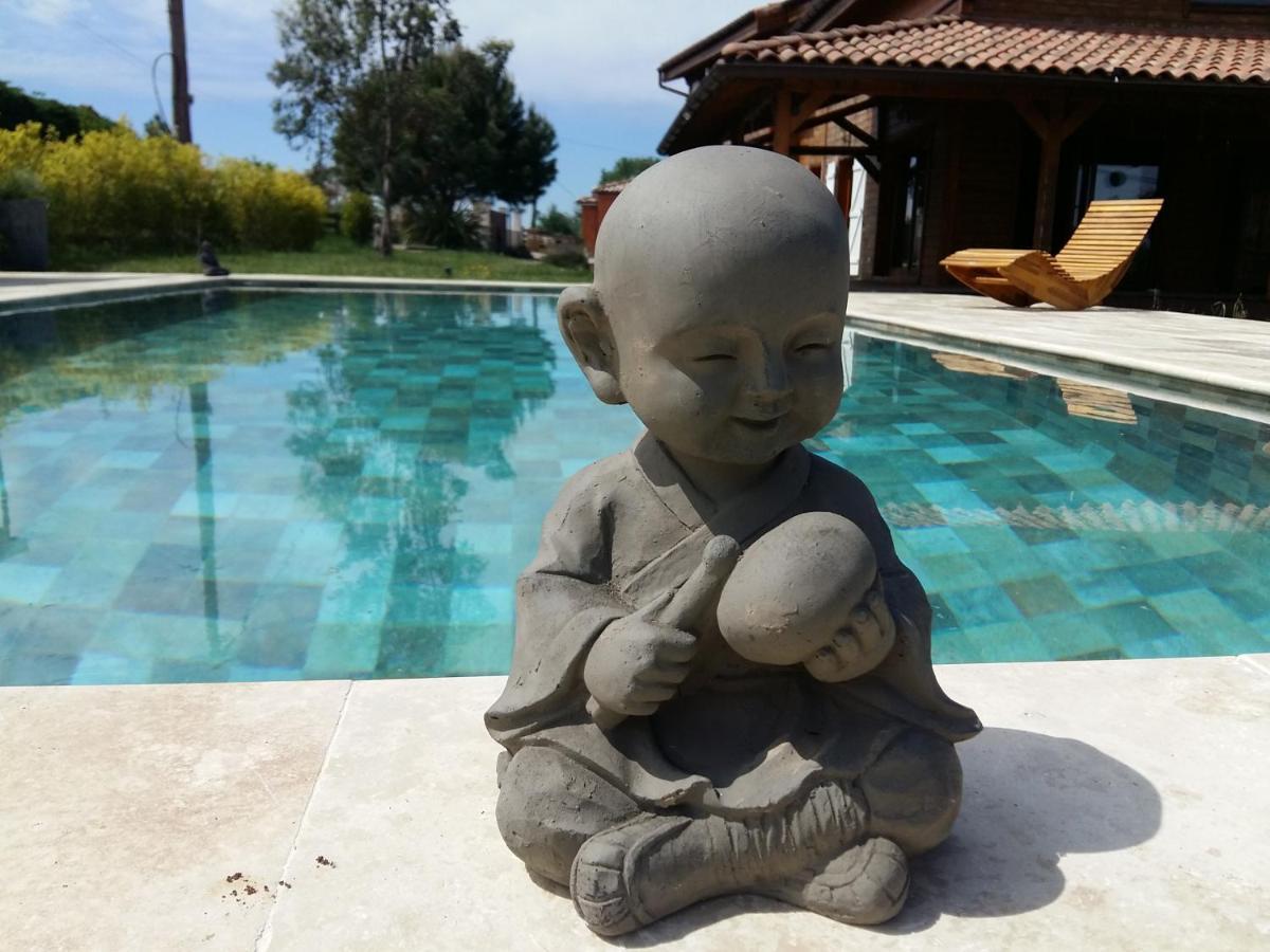 Ecolodge Bellevue Albi Bagian luar foto