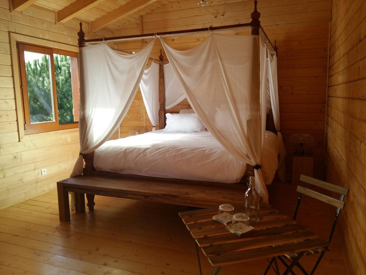 Ecolodge Bellevue Albi Bagian luar foto