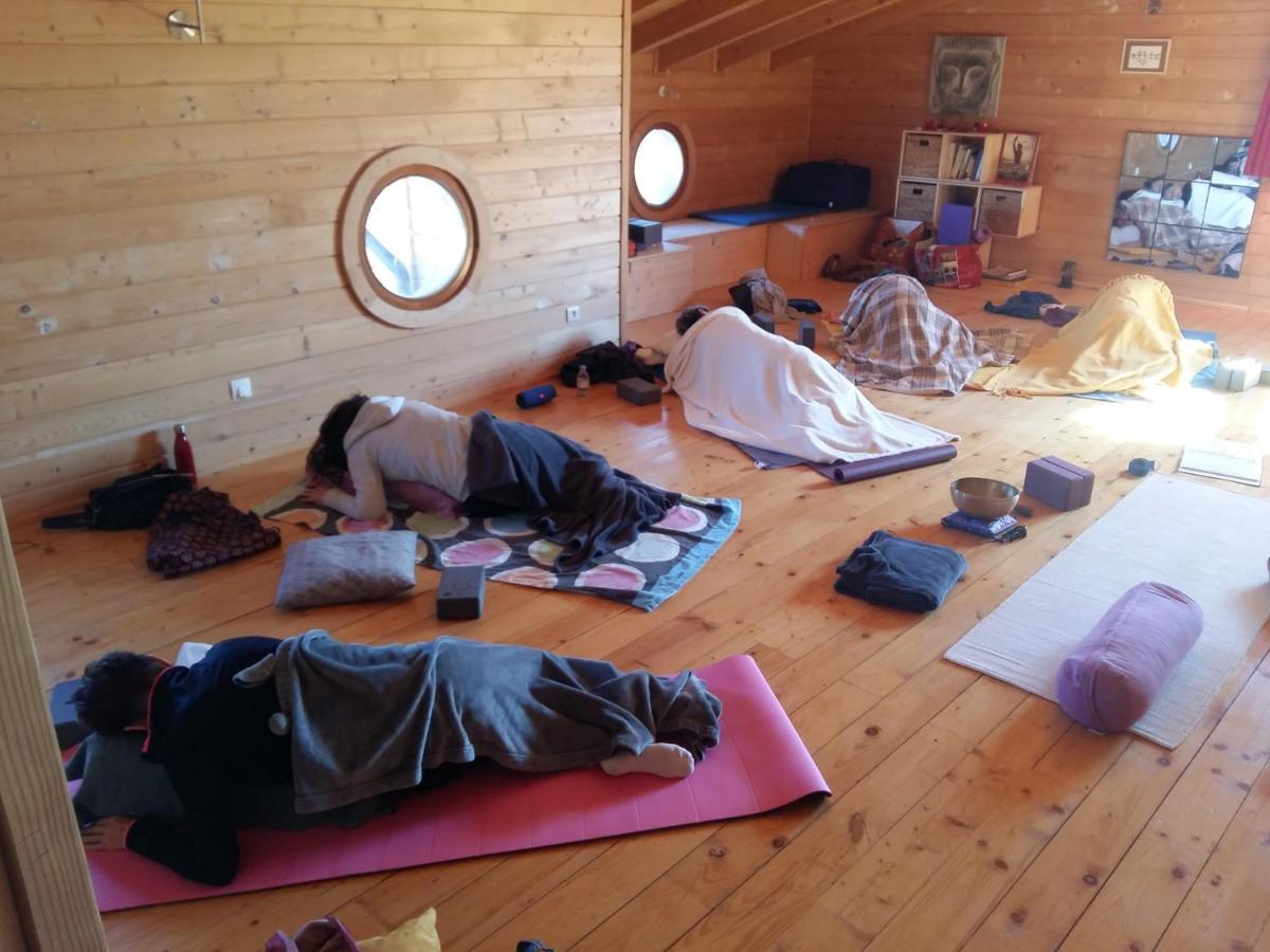 Ecolodge Bellevue Albi Bagian luar foto