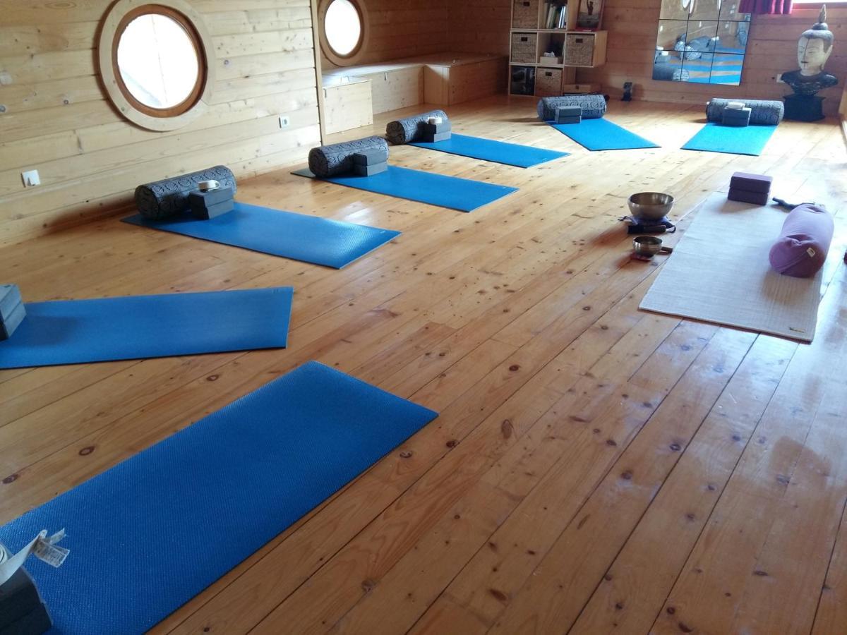 Ecolodge Bellevue Albi Bagian luar foto